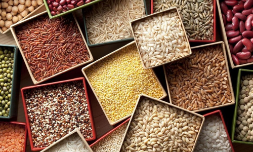 Protein in Millets per 100g: A Powerhouse of Nutrition