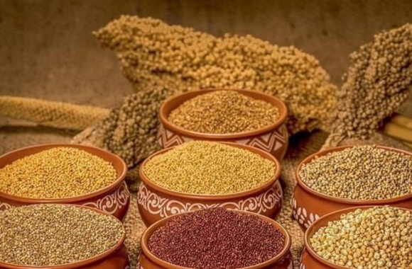 Which Millet Has High Protein?