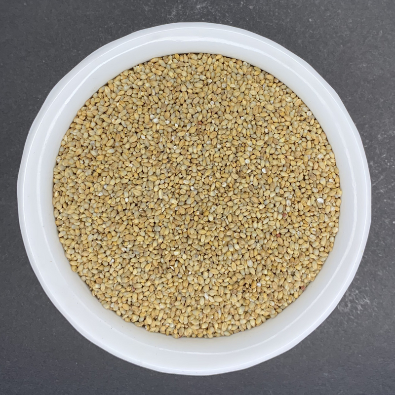 Nattu-Kambu (Pearl Millet) (Bajra) (Kambam) (Sajjalu) (Sajje)