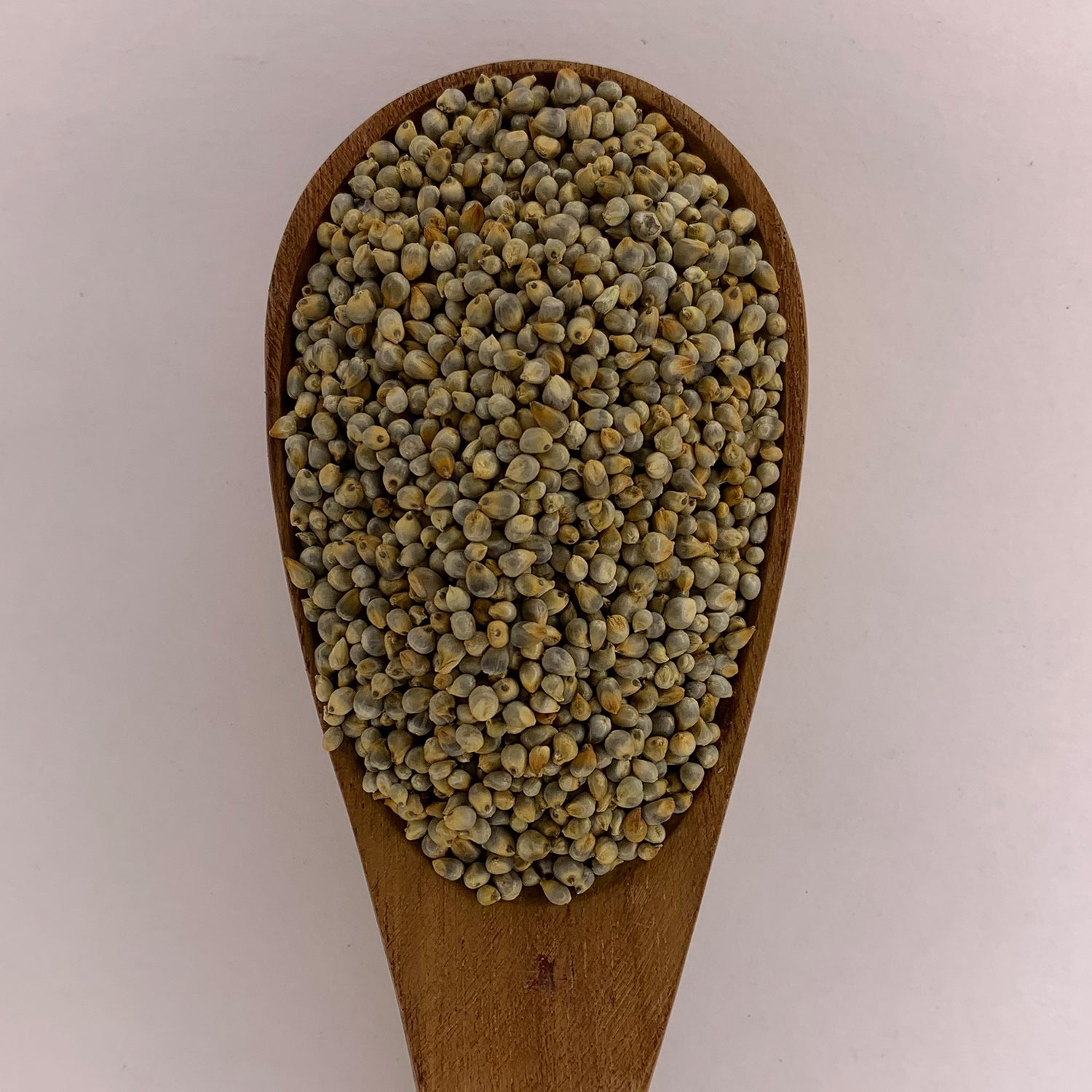 Gundu - Kambu (Pearl Millet) (Bajra) (Kambam) (Sajjalu) (Sajje)