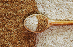 Brown Rice vs Millets for Diabetes – Which is Better for Your Blood Sugar?