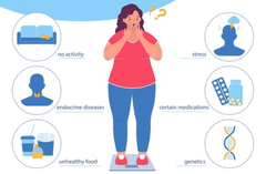 What Are the Main Causes of Obesity in India? A Complete Guide