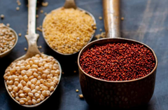 🌾 Organic Millets Wholesale: Your Complete Guide to Buying Quality Millets in Bulk (10 kg & Above)