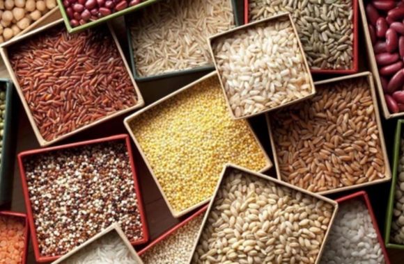 Protein in Millets per 100g: A Powerhouse of Nutrition