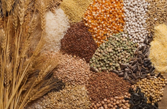 Ready to Eat Millet Products – Healthy, Tasty, and Convenient