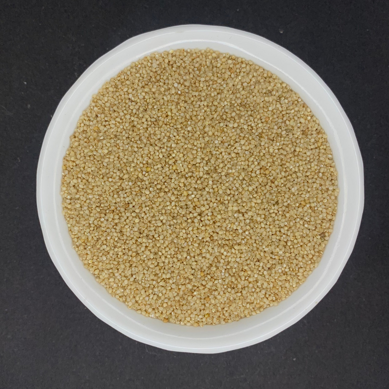 Saamai (Little millet) (Kutki) (Chama) (Sama) (Saame)