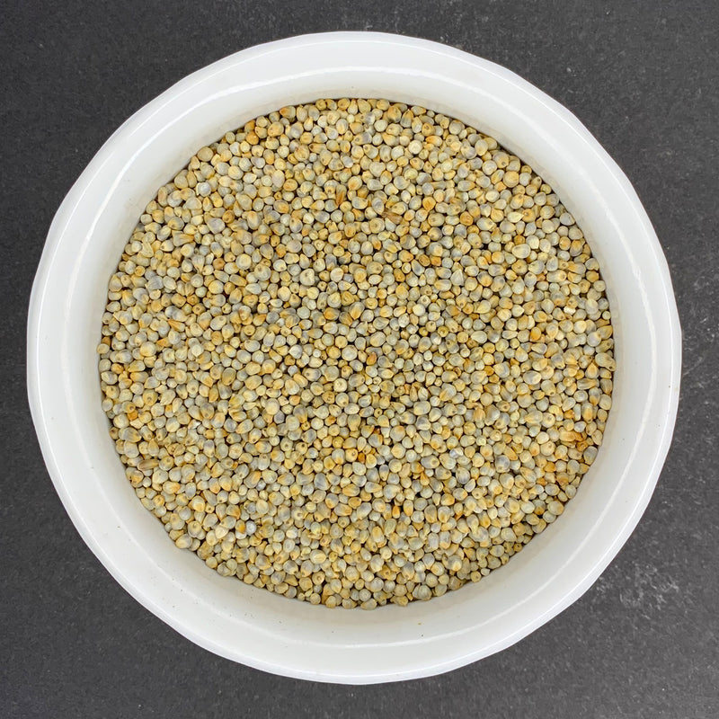 Gundu - Kambu (Pearl Millet) (Bajra) (Kambam) (Sajjalu) (Sajje)