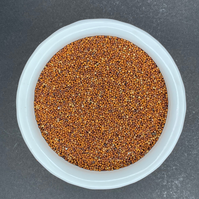 Ragi (Finger Millet) (Nachni) (Panji pullu) (Ragula) (Ragi)
