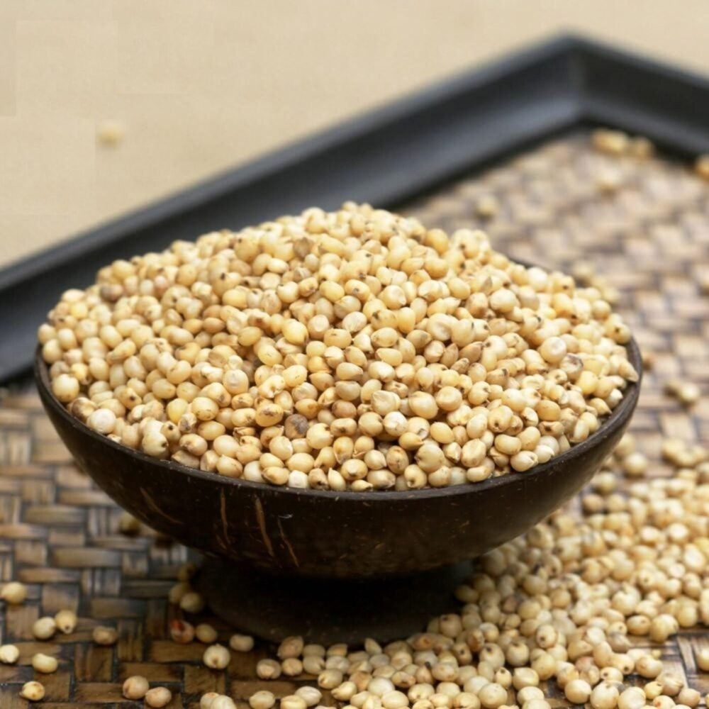 White Cholam (White Sorghum) (White Jowar) (Tella jonna)