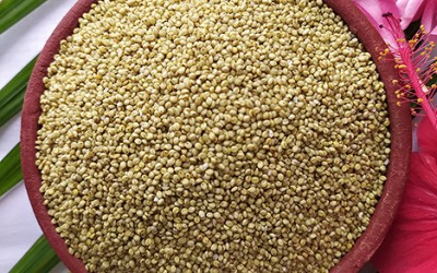 Browntop Millet Health Benefits