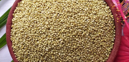 Browntop Millet Health Benefits