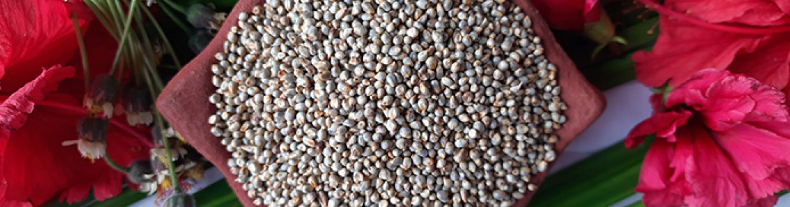 Pearl Millet Health Benefits