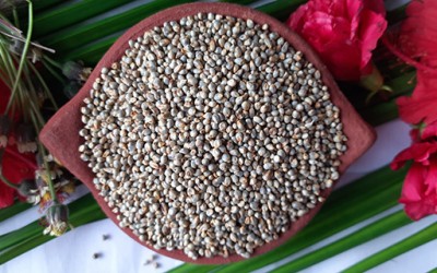 Pearl Millet Health Benefits