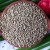 Pearl Millet Health Benefits