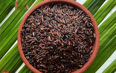 Forbidden Rice Health Benefits