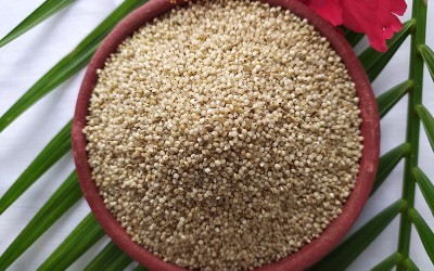 Banyard Millet Health Benefits