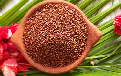 Finger Millet Health Benefits