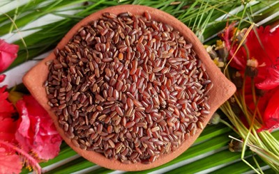 Red Rice Health Benefits