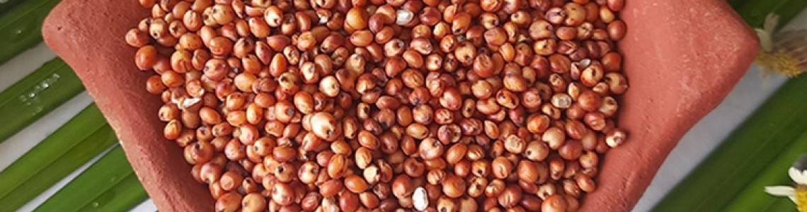 Red Sorghum Health Benefits