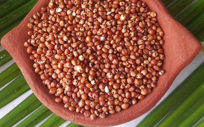 Red Sorghum Health Benefits