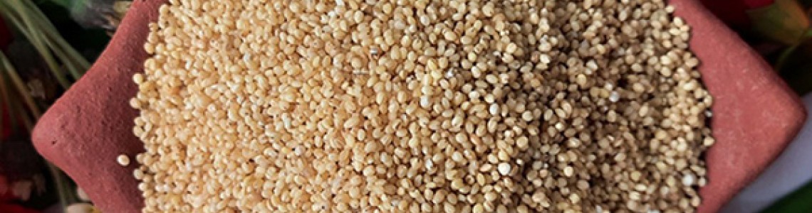 Foxtail Millet Health Benefits