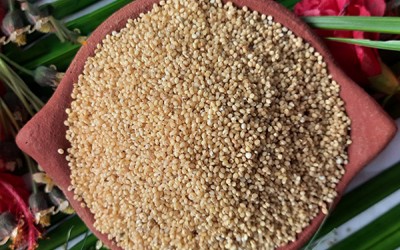 Foxtail Millet Health Benefits