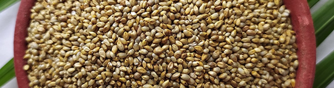 Wild Pearl Millet Health Benefits