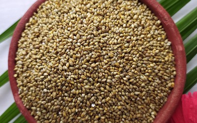 Wild Pearl Millet Health Benefits