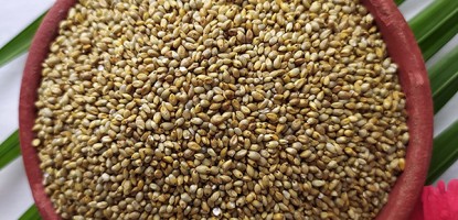 Wild Pearl Millet Health Benefits