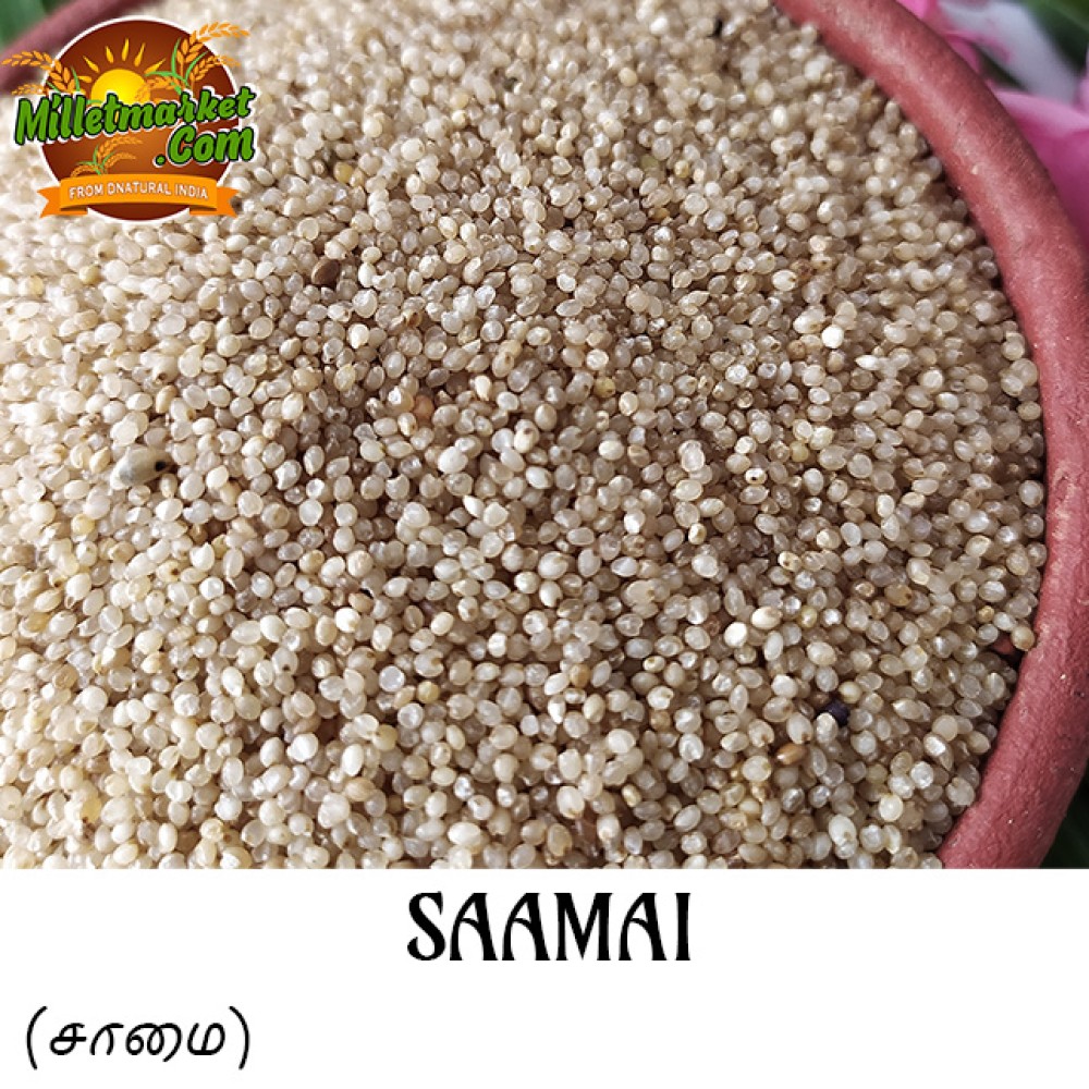 Saamai (Little millet) (Kutki) (Chama) (Sama) (Saame)