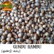 Gundu - Kambu (Pearl Millet) (Bajra) (Kambam) (Sajjalu) (Sajje)