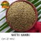 Nattu-Kambu (Pearl Millet) (Bajra)  (Kambam) (Sajjalu) (Sajje)