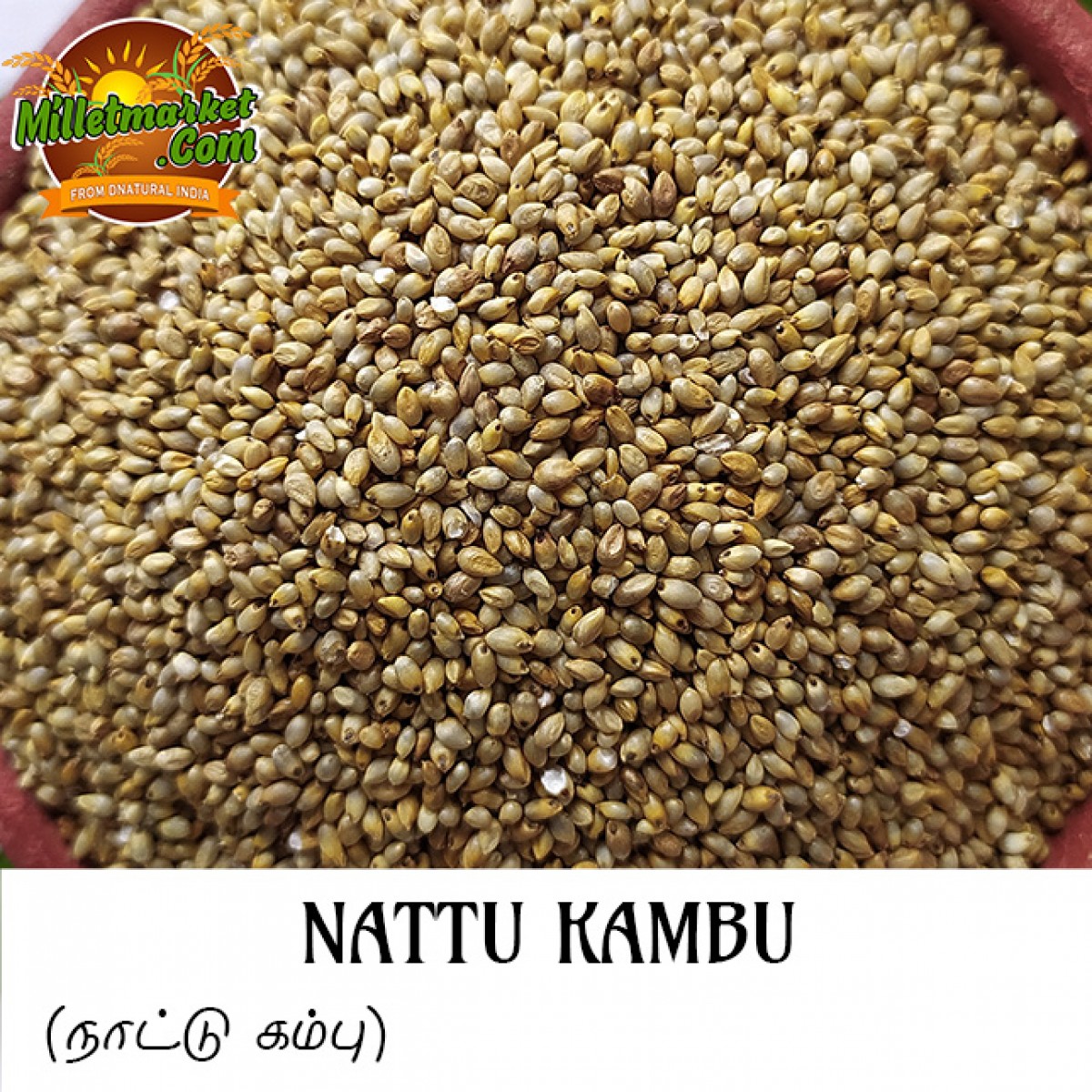 Nattu-Kambu (Pearl Millet) (Bajra)  (Kambam) (Sajjalu) (Sajje)