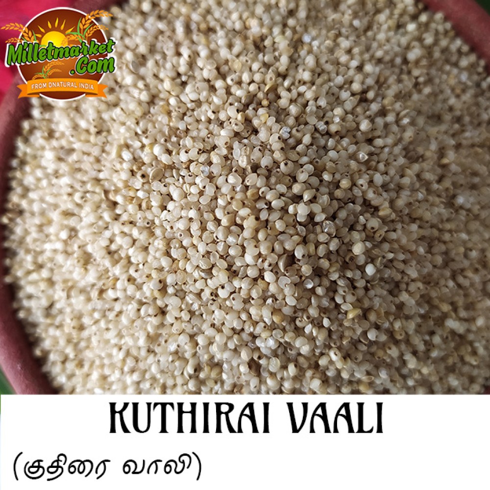 KuthiraiVaali (Banyard millet) (Sanwa) (Kavadapullu) (Odalu) (Oodalu)