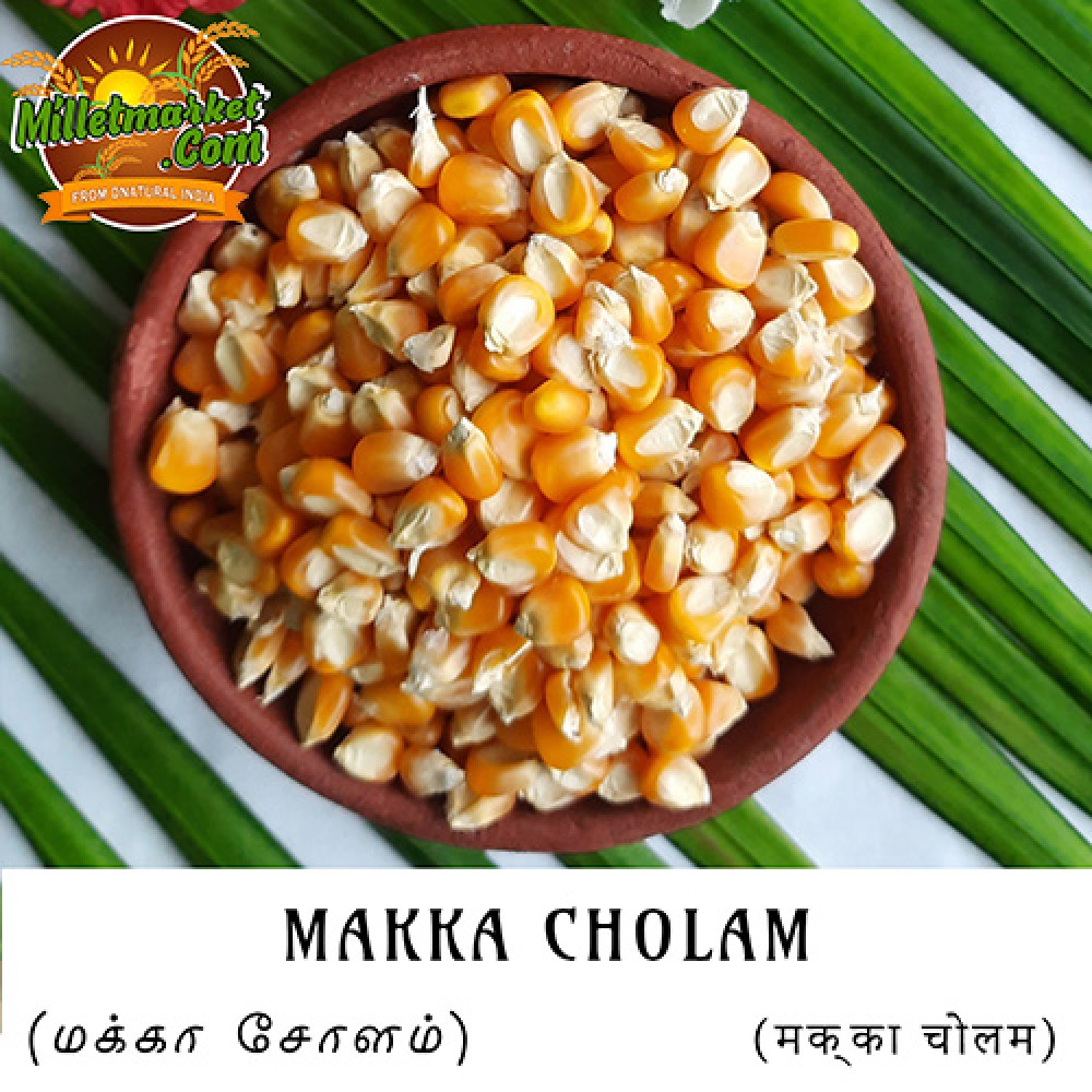 Makka Cholam (corn) (bhutta) (cheaalam) (Mokkajonna) (Jola)