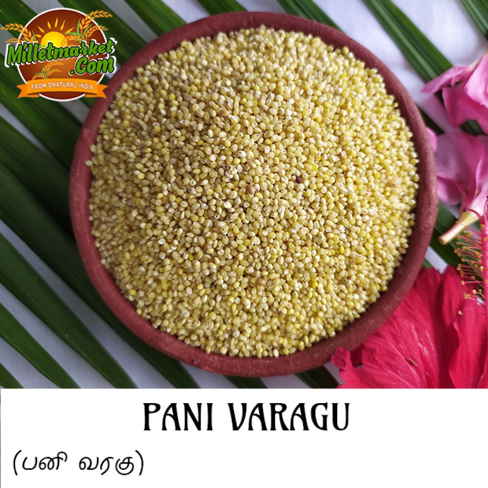 Pani Varagu (Proso millet) (Barri) (Varigulu) (Baragu)