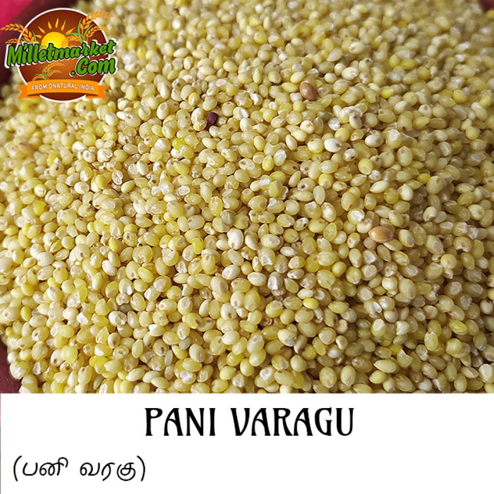 Pani Varagu (Proso millet) (Barri) (Varigulu) (Baragu)