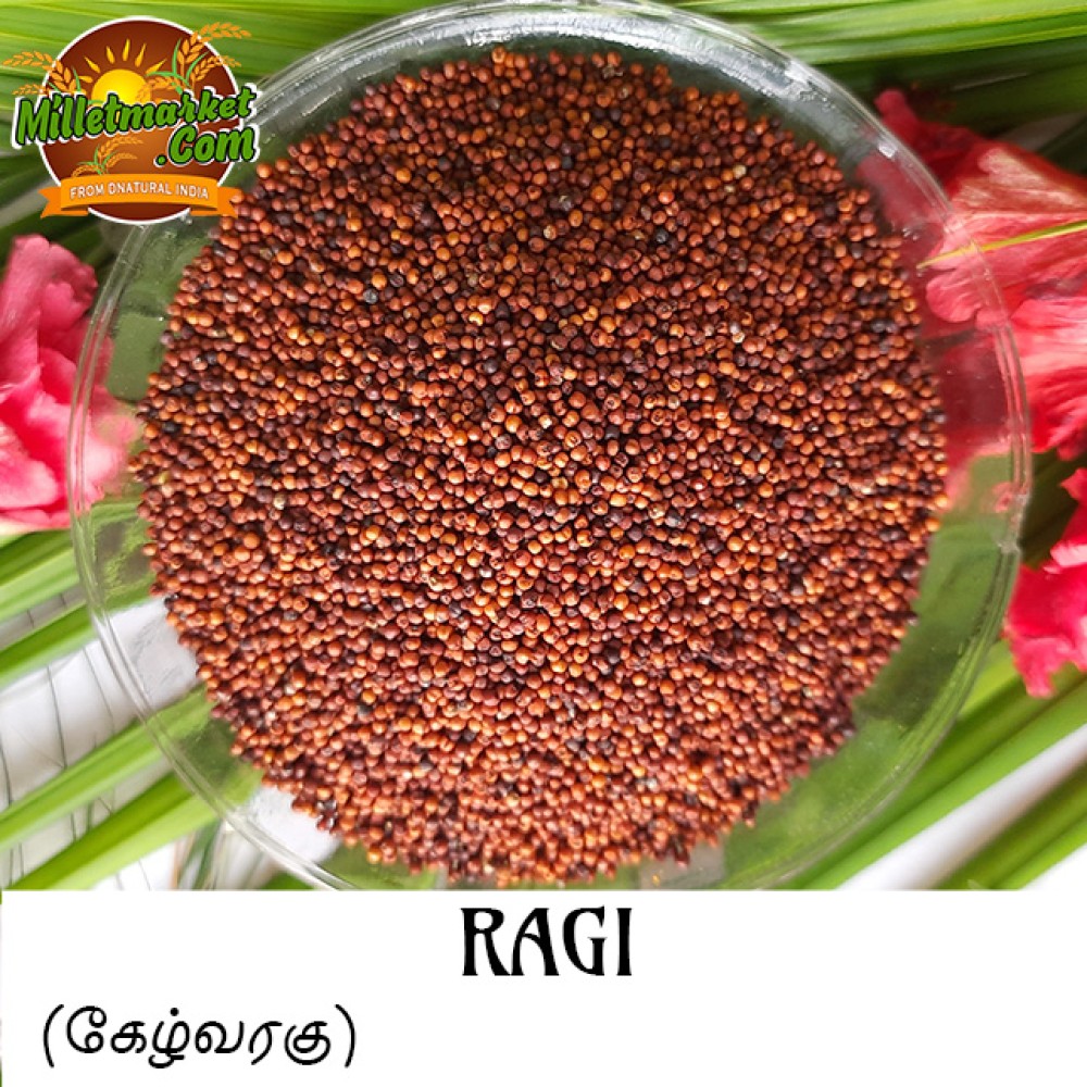 Ragi (Finger Millet) (Nachni) (Panji pullu) (Ragula) (Ragi)