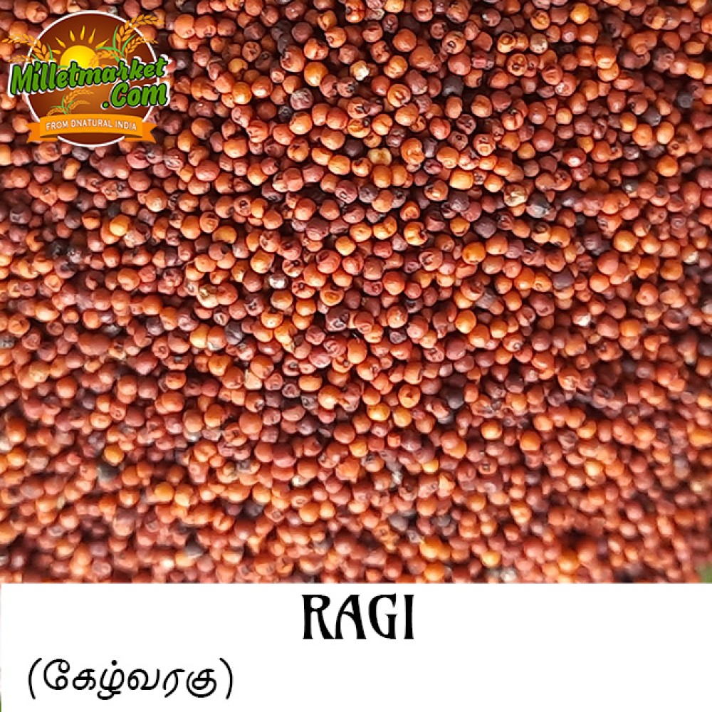 Ragi (Finger Millet) (Nachni) (Panji pullu) (Ragula) (Ragi)