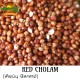 Sivappu Cholam (Red Sorghum) (Red Jowar) (Erra jonna) (Kempu bele)