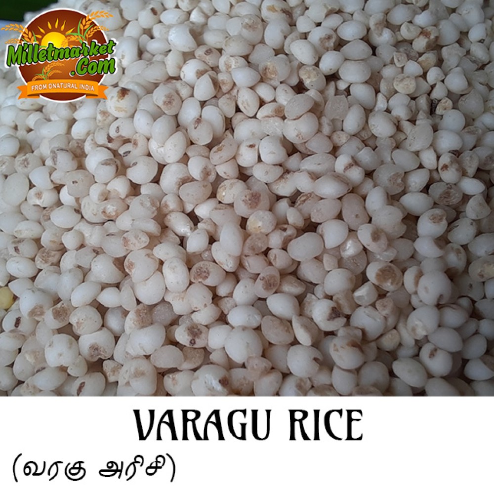 Varagu (Kodo millet) (Kodon) (Koovaragu) (Arikelu) (Harka)